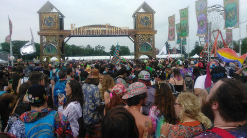Large crowd at a music festival