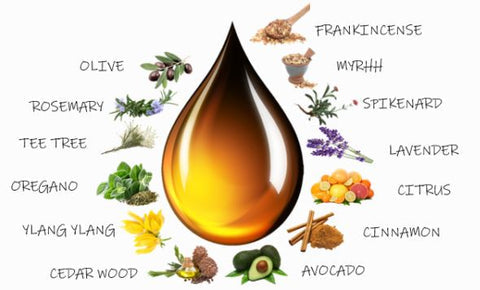 Oil droplet with various essential oil names and corresponding plants