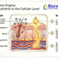 Diagram of the absorption engine by Kure-it, showing the bio-spiritual path and its benefits.