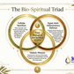 Diagram of 'The Bio-Spiritual Triad' with Kure-it logo on a decorative background