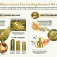 Biblical Restoration: The Healing Power of Oil of Elijah. Overview of the benefits of Oil of Elijah Bible Healing Oil