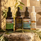 Three herbal supplement dropper bottles and a nasal spray bottle displayed on a stone ledge outdoors, with olive branches and a sunlit stone pathway in the background.