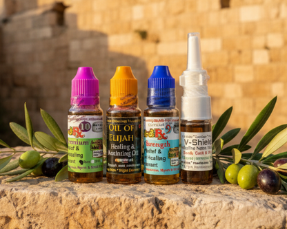 Four small bottles of hair growth and conditioning liquid, including Vela Skin Vela-Science and Vela-Organics Colof 100% Olive Hair Growth & Conditioning liquids, arranged on a stone ledge with olive branches in front of a warm stone wall background.