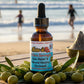Bottle of Rx9 oil with olive leaves on a wooden table at the beach